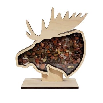 Fitz Craft Creations Moose Agate Display Box